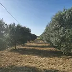 Estate In Campagna * بارتينيكو