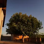 Estate In Campagna *