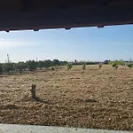 Estate In Campagna بارتينيكو