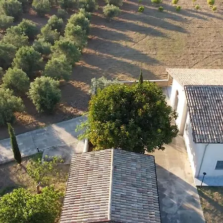 Estate In Campagna