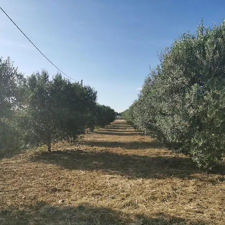 Estate In Campagna * Партинико