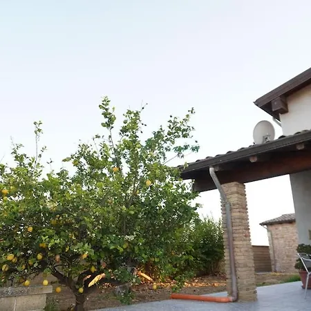 Estate In Campagna *