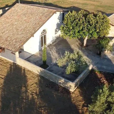 Estate In Campagna *